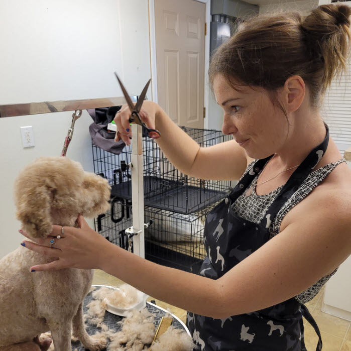 Dog Grooming Services by Kate Mathis